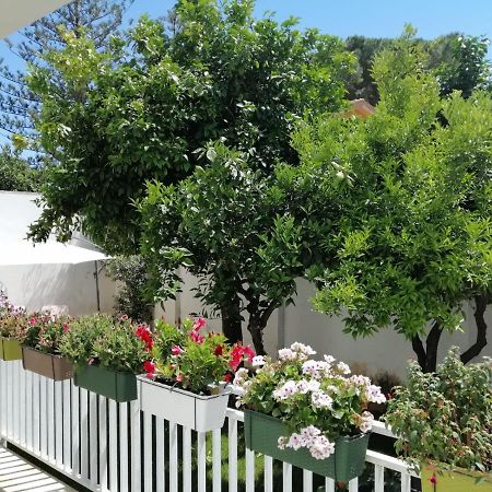 Villa Mondello Beach The House With Green Lawns Exterior foto