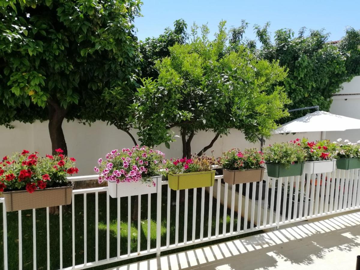 Villa Mondello Beach The House With Green Lawns Exterior foto